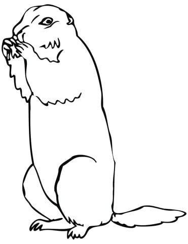 Brown Prairie Dog  Coloring Page